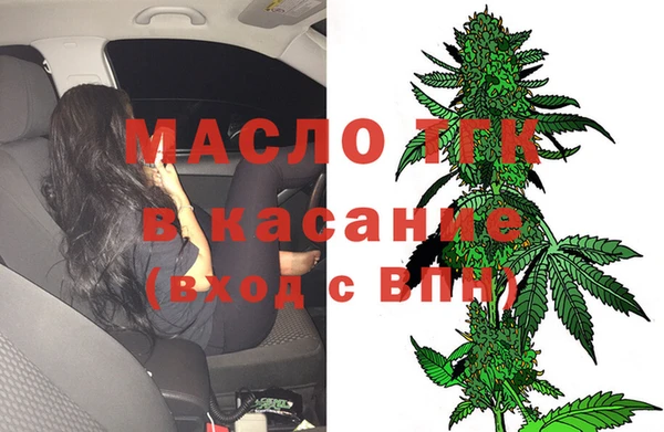стафф Каменка